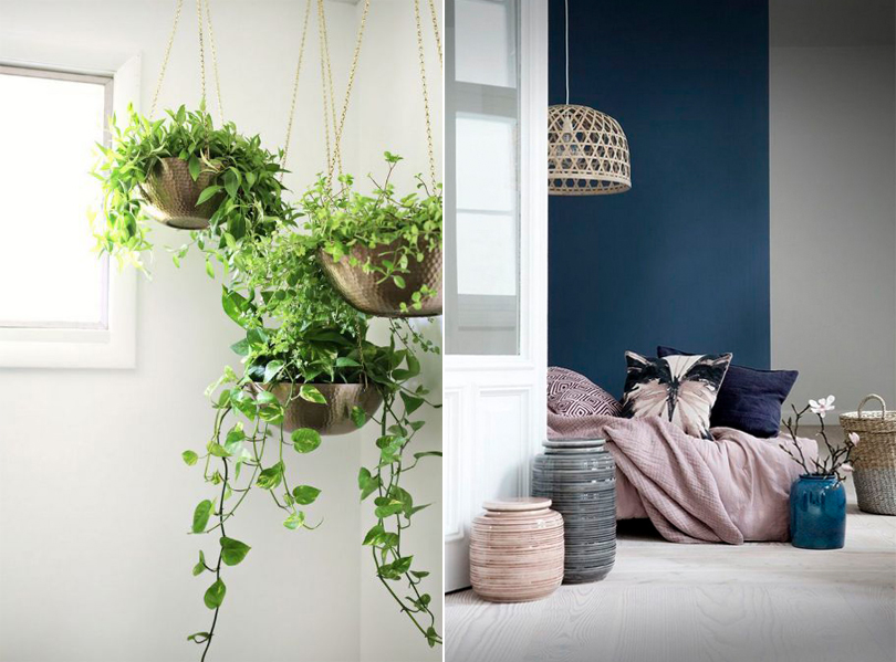 Plants and interior accessories