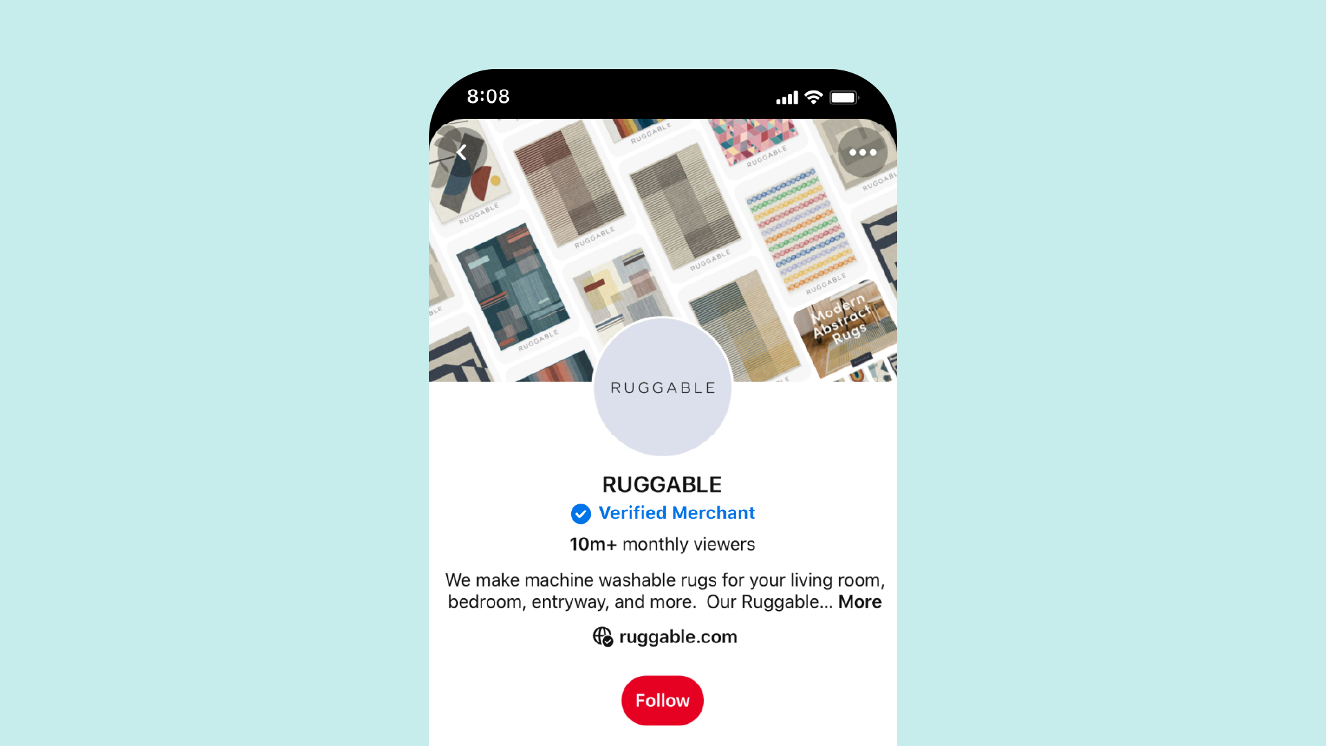 Image of Pinterest app showing advertiser profile from Ruggable 